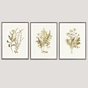 3 Set Vintage Botanical prints, neutral botanicals, Fern plant prints, Floral Art, Housewarming gift, neutral home decor