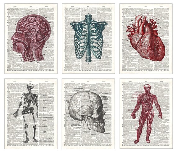 Internal Structures of Ear Art Print on Vintage Book Page Medical Anatomy Decor