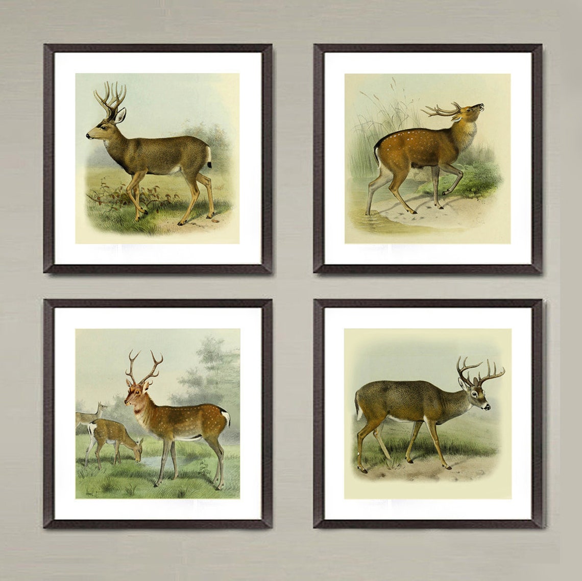 Deer art prints 4 set Vintage Deers Art animal prints Log | Etsy