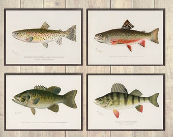 4 set forelkunstprint, vintage baskunstprint, vissersprints, blokhutdecoratie, vliegvissenkunst, zoetwaterviskunst, buitenmens decor