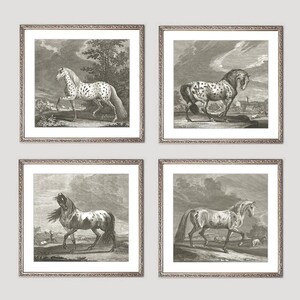 Horse engravings, Vintage Horse prints, horse drawings, equestrian art prints, Equestrian, Horse Art, Horse Decor, Horse farm home decor