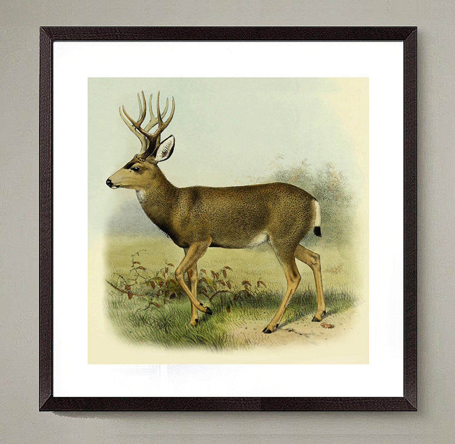 Deer art prints 4 set Vintage Deers Art animal prints Log Etsy
