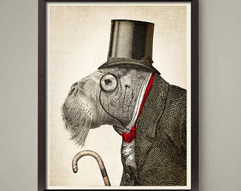 Walrus art print, animals in clothing, walrus wearing top hat, animals in hats,funky animal, funny animal prints, 2 sizes 8x10 or 11x14 inch