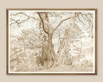 Könnte beinhalten: Eine Schwarzweiß-Zeichnung einer Gruppe von Bäumen in einem Wald. Die Bäume sind hoch und schlank, mit Ästen, die sich zum Himmel strecken. Die Zeichnung ist in einem realistischen Stil gehalten, mit Liebe zum Detail in der Rinde und den Blättern der Bäume.