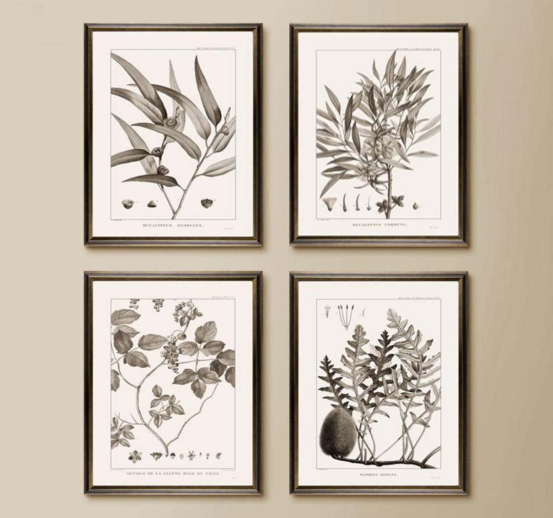 Vintage Botanical Prints Set, Floral Watercolor Wall Art - Etsy