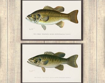 Bass prints, Fathers day gift, Vintage Large & Small Mouthed Bass Art Prints, fisherman Prints, freshwater fishing art, outdoorsman