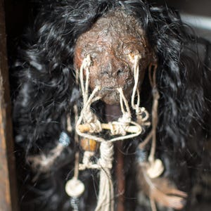 Handcrafted Jivaro shrunken head