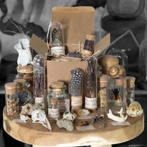 Boîte mystère avec lot de 3 ou 6 curiosités + 1 création fait main, Boîte surprise cabinet de curiosités