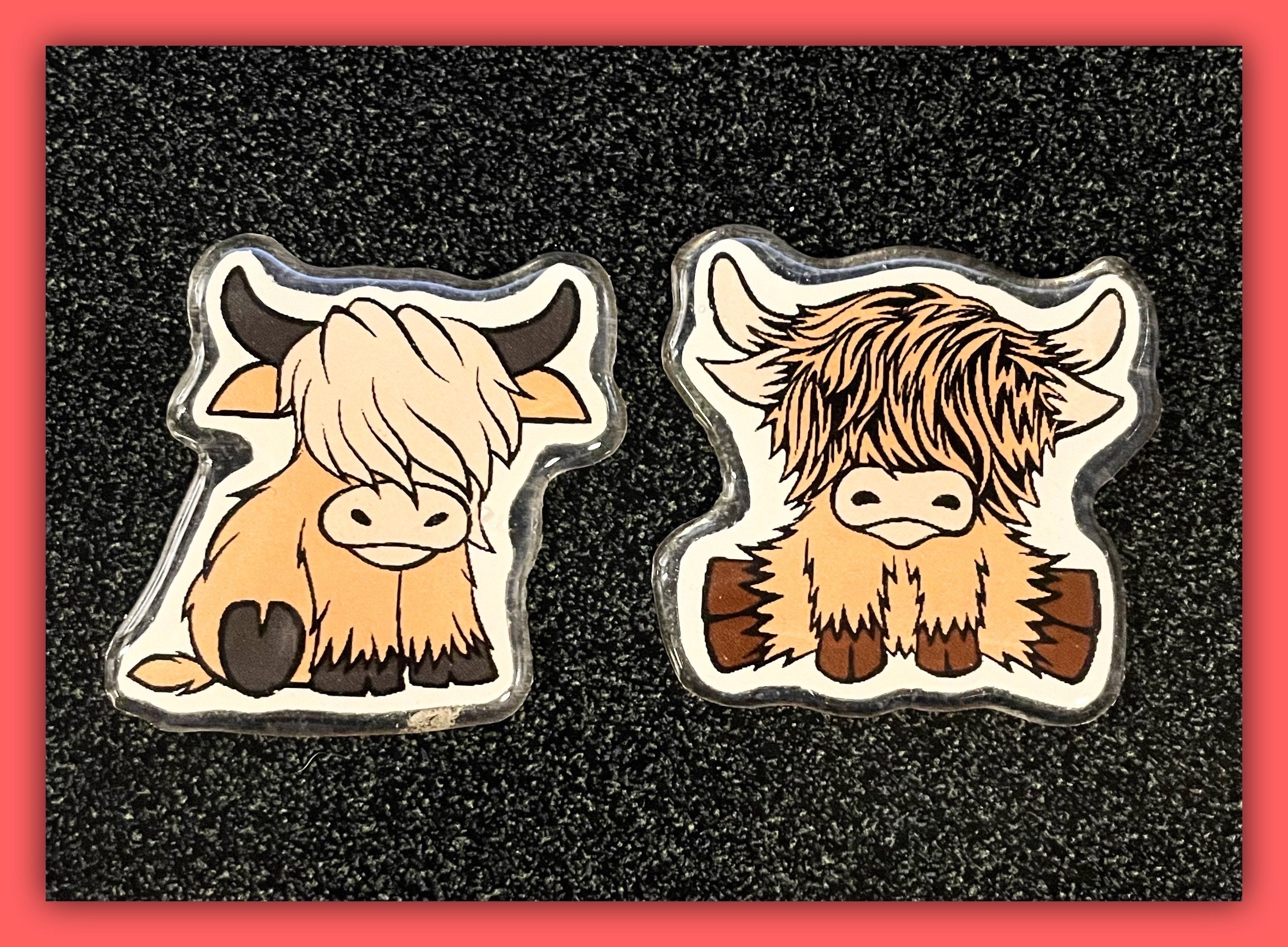 Cow custom X-ray markers with initials
