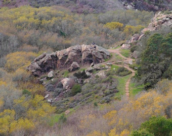 May include: A rocky hillside with a winding path leading up to a large rock formation. The path is lined with steps and the hillside is covered in green and yellow foliage.