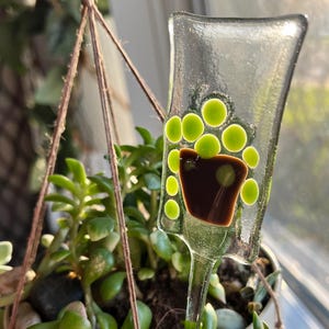 Peut inclure: Un arrosoir en verre transparent avec un motif marron et vert est inséré dans une plante succulente suspendue. La plante est dans un pot en céramique blanc suspendu par une corde marron. L'arrière-plan comprend une fenêtre et la lumière du soleil.