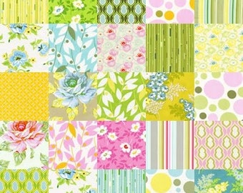Nicey Jane Original 2009 by Heather Bailey for Free Spirit Fabrics Fat Quarter or Yardage YOU SELECT