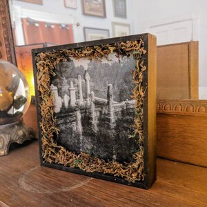 May include: A black and white photograph of a graveyard with moss around the frame. The photo is framed in a dark wood frame with a moss border.
