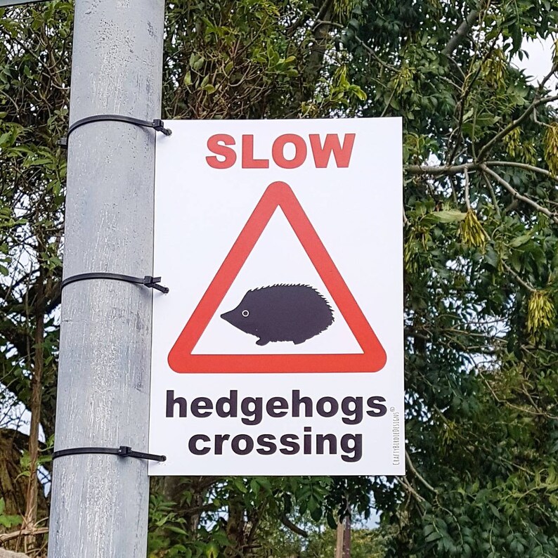 SLOW / WARNING hedgehogs crossing sign A4 sticker or Etsy