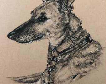 Custom Animal Portrait from Photo | Charcoal and White Chalk on Tan Paper | Personalized Pet Gift | Pet Memorial Gift | Handmade USA