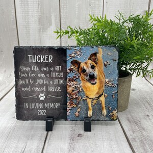 May include: A black slate memorial plaque with a photo of a brown and white dog. The plaque reads "TUCKER Your life was a GIFT Your love was a TREASURE You'll be LOVED for a LIFETIME and missed FOREVER. IN LOVING MEMORY 2022"