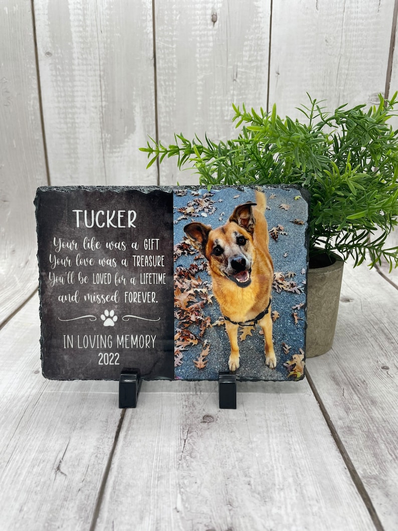 May include: A black slate memorial plaque with a photo of a brown and white dog. The plaque reads "TUCKER Your life was a GIFT Your love was a TREASURE You'll be LOVED for a LIFETIME and missed FOREVER. IN LOVING MEMORY 2022"