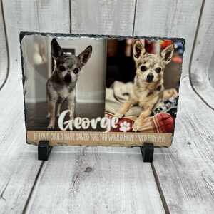 May include: A black slate memorial plaque with two photos of a small, white and brown chihuahua. The plaque has the dog's name "George" and the text "If love could have saved you, you would have lived forever."