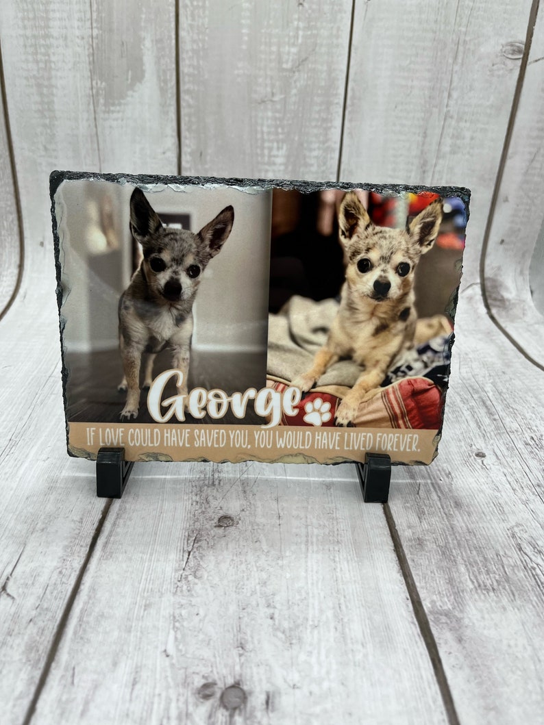 May include: A black slate memorial plaque with two photos of a small, white and brown chihuahua. The plaque has the dog's name "George" and the text "If love could have saved you, you would have lived forever."