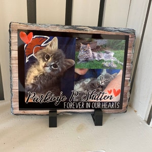 May include: A black slate plaque with a woodgrain background and three photos of a cat. The plaque has the text "Purkinje P. Shitten Forever in Our Hearts" and two red hearts.