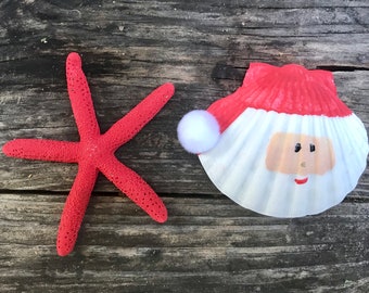 Santa Sea Shell, Starfish Sea Shells, Christmas at the Beach, Coastal Christmas, Santa Claus Seashells