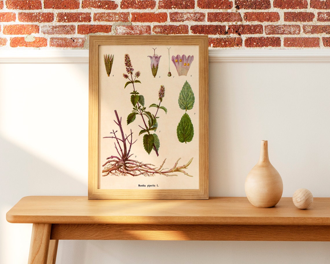 Cottagecore Printable Plant Poster Vintage Downloadable Etsy Canada