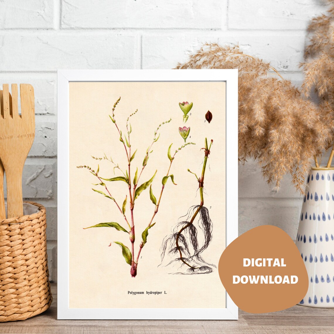 Printable Vintage Botanical Print Digital Download Home Decor - Etsy