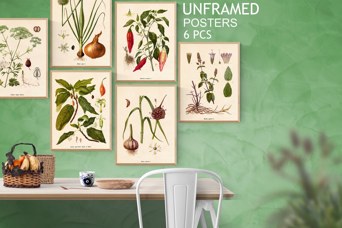Vintage Botanical Wall Art UNFRAMED Six Cottagecore Prints Etsy