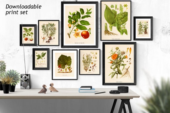 Downloadable Print Set of 9 Printable Wall Art Instant | Etsy