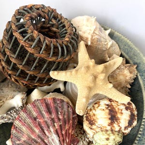 May include: A decorative bowl filled with seashells, a starfish, and a woven basket. The seashells are diverse in size, shape, and colour, including a large, reddish-brown fan shell. The starfish is a light beige colour.