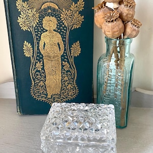 Puede incluir: Naturaleza muerta con un libro vintage verde azulado con detalles dorados, una caja de cristal transparente y una pequeña botella de vidrio aguamarina con cápsulas de semillas secas. Los objetos están sobre una superficie gris clara.