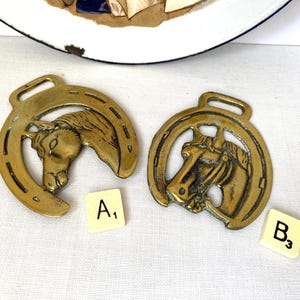 Traditional Antique Horse Brass HORSE/HORSESHOE Decorative Collectible Brass Horse Decor Vintage Pub Decor Wall Hanging English Shire Horse