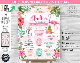 EDITABLE Flamingo milestone stats 1st birthday board. First one let's flamingle poster sign tropical pineapple editable template. 044HPA 09