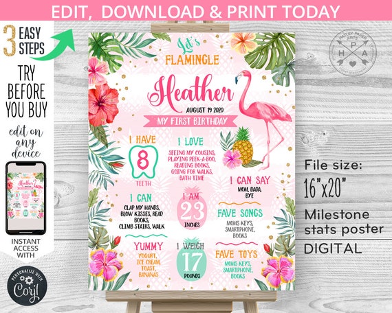 EDITABLE Flamingo milestone stats 1st birthday board. First one let's flamingle poster sign tropical pineapple editable template. 044HPA 09 Il_570xn