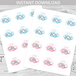 Geslacht onthullen stemstickers fonkelen kleine ster baby shower hij of zij stemmen partij 2x2 roze blauw jongensmeisje. NIET BEWERKBAAR. 177 pk 19 T2
