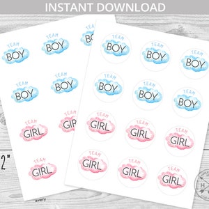 Gender reveal voting stickers twinkle little star baby shower he or she vote party 2x2 pink blue boy girl. NOT EDITABLE. 177HPA 19 T2