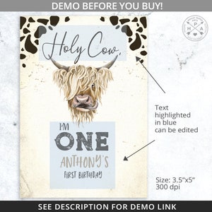 BUNDLE Holy cow I'm ONE highland cow chips bag wrapper, juice bag, water bottle label, cow boy party favors. Editable printables. 209HPA 44 image 4