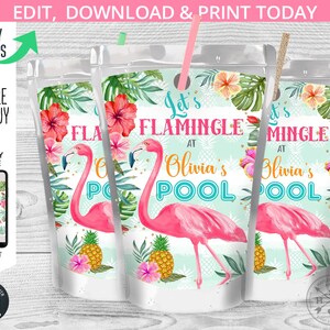 Flamingo Pool Saft Taschenetikett, Saftbeutel, Let's Flamingle Beutel, tropische Ananas, Geburtstagsfeier bearbeitbare Vorlage. 044HPA 18 B