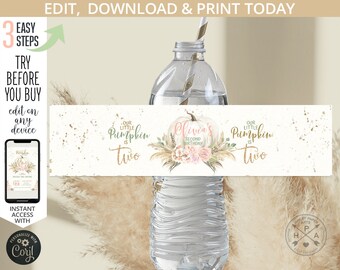 Può includere: Una bottiglia d'acqua con un'etichetta personalizzata. L'etichetta presenta il testo "Olivia's Second Birthday" e una grafica di zucca con accenti floreali. Sono presenti anche le parole "Our Little Pumpkin is Two". Il design utilizza tenui tonalità rosa e oro.