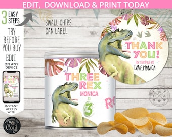 Three Rex dinosaur mini chips can label wrapper dino T-Rex dino-mite girl birthday snacks wrap party favor. Editable printables. 137HPA 17 A