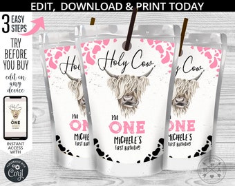 Pode incluir: Três etiquetas de caixa de suco imprimíveis com uma vaca das terras altas com manchas de vaca rosa e pretas. As etiquetas dizem "Holy Cow, I'm One" com o nome "Michele's First Birthday" na etiqueta do meio.