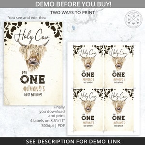 BUNDLE Holy cow I'm ONE highland cow chips bag wrapper, juice bag, water bottle label, cow boy party favors. Editable printables. 209HPA 44 image 5