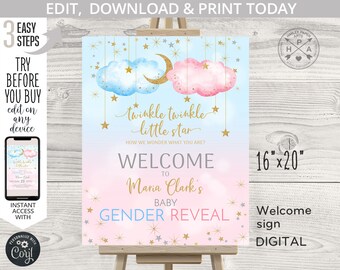 Twinkle twinkle little star welcome sign he or she gender reveal baby shower 16x20. Blue pink boy girl. Editable printable. 177HPA 18 A