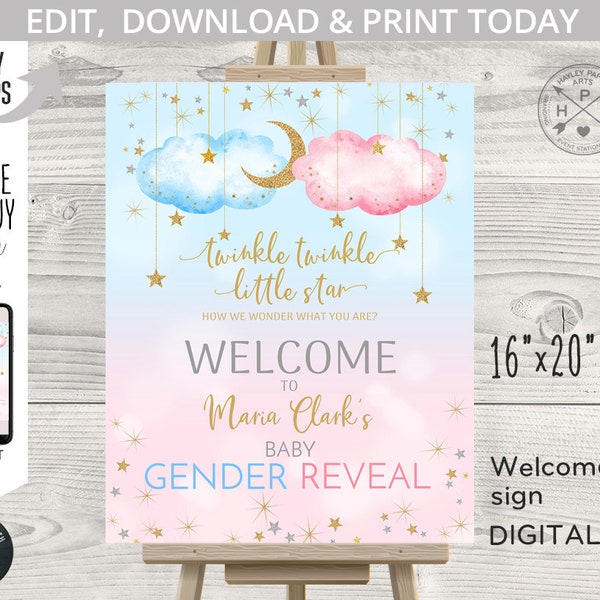 Twinkle twinkle little star welcome sign he or she gender reveal baby shower 16x20. Blue pink boy girl. Editable printable. 177HPA 18 A