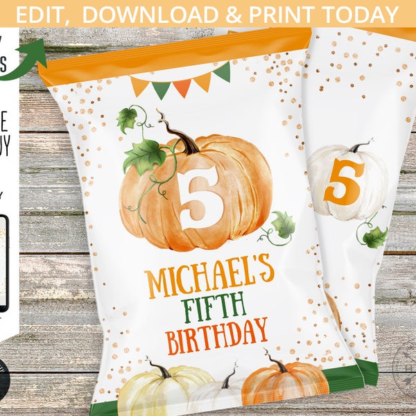 Pumpkin chips bag, snacks treat bags, chip pouch, wrapper, orange any age boy girl fall fifth birthday party. Editable printable 079HPA 21 D