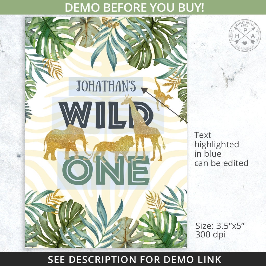 MEGA BUNDLE Jungle Safari Wild One Birthday Party Pack, Chips Bags ...