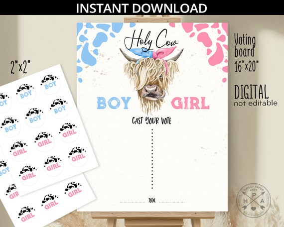 Gender reveal voting sign board holy cow baby shower he or she cast your vote party 16x20 pink blue boy girl. NOT EDITABLE. 210HPA 19 A Il_570xn