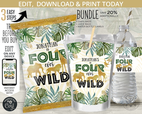 BUNDLE Jungle Four ever Wild chips bag, juice bags, safari water bottle labels, treat chip pouch fourth birthday. Online template. 040HPA 45 Il_570xn