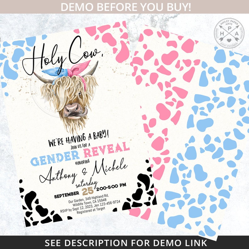 Holy cow baby shower gender reveal blue pink invitation highland cow boy girl farm editable party invite. Selfeditable printable. 210HPA 07 image 5
