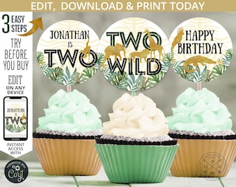 May include: Three cupcake toppers with a jungle theme. The toppers feature a green and gold zebra print background with gold glitter accents. The text on the toppers reads "Jonathan is Two", "Two Wild", and "Happy Birthday".
